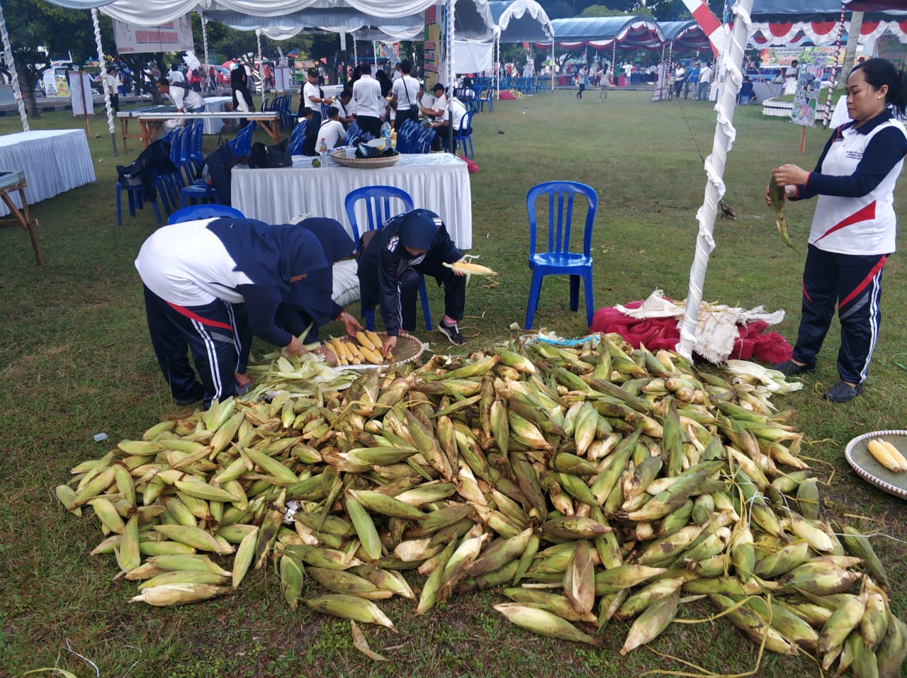 Proses pengupasan jagung sejumlah 1.000 tongkol dimulai jam 06.00 WIB