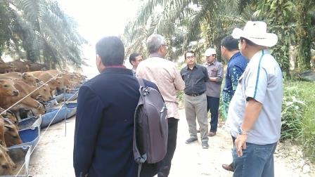 Lokasi: Sulung Ranch